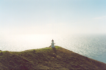 Cape Reinga