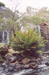 Grampians National Park