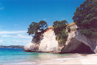 Cathedral Cove