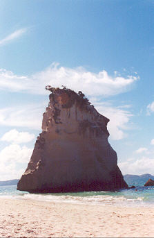 Cathedral Cove