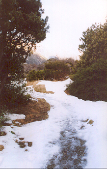 Mount Cook National Park