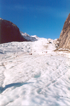 Franz Josef Glacier