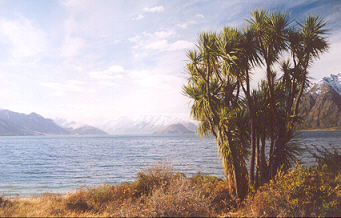 Lac Hawea