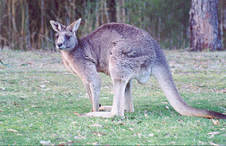 Grampians National Park