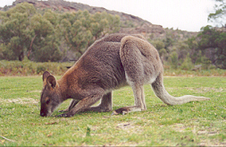 Grampians National Park