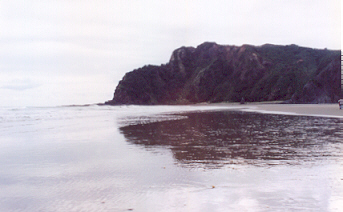 Karikari, la plage de la Leon de Piano