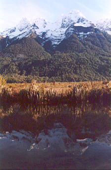 Mirror Lakes