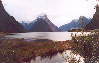 Milford Sound