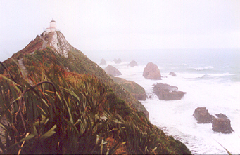 Nuggets Point dans les Catlins