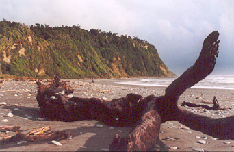 Plage d'Okarito