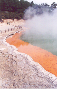 Champagne Pools