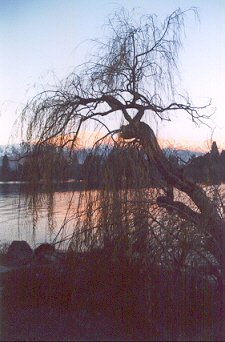 Lac Wakatipu