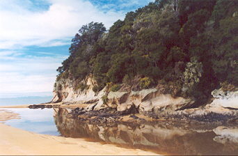 Abel Tasman National Park