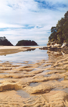 Abel Tasman National Park