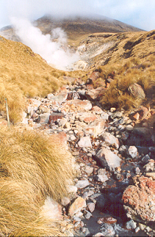 Tongariro National Park