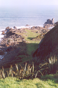 Cape Foulwind