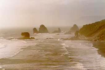 Entre Westport et Greymouth...