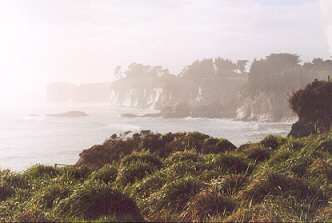 Cape Foulwind