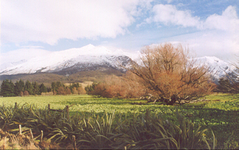 Vers Wanaka