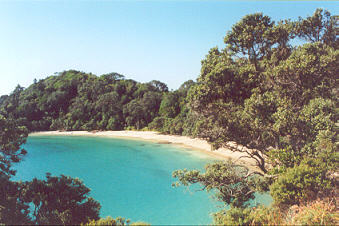 Whale Bay