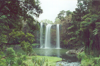 Whangarei Falls